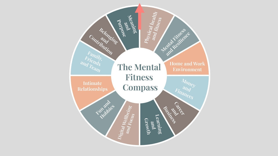 The Mental Fitness Compass