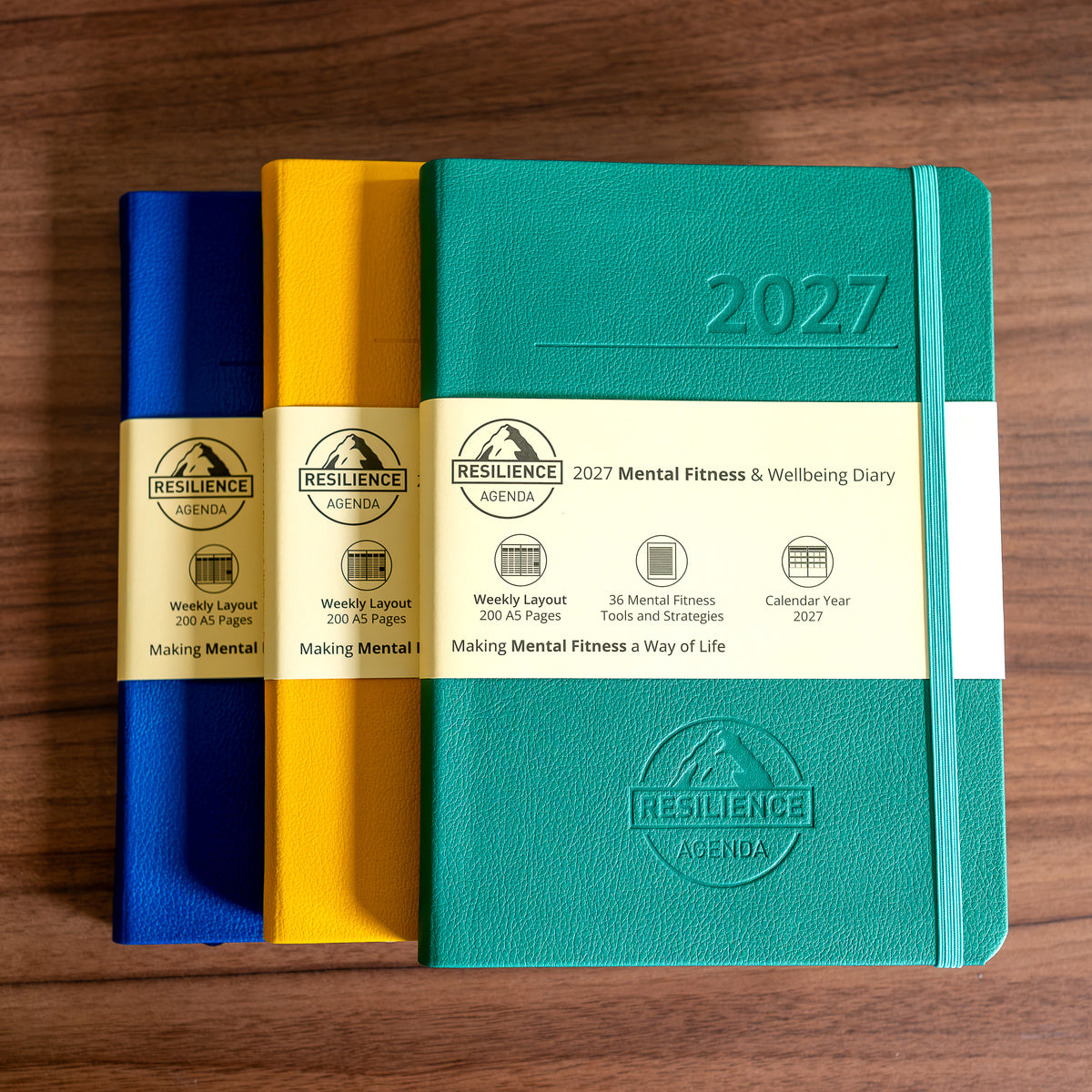 Best 2027 health diary planner 