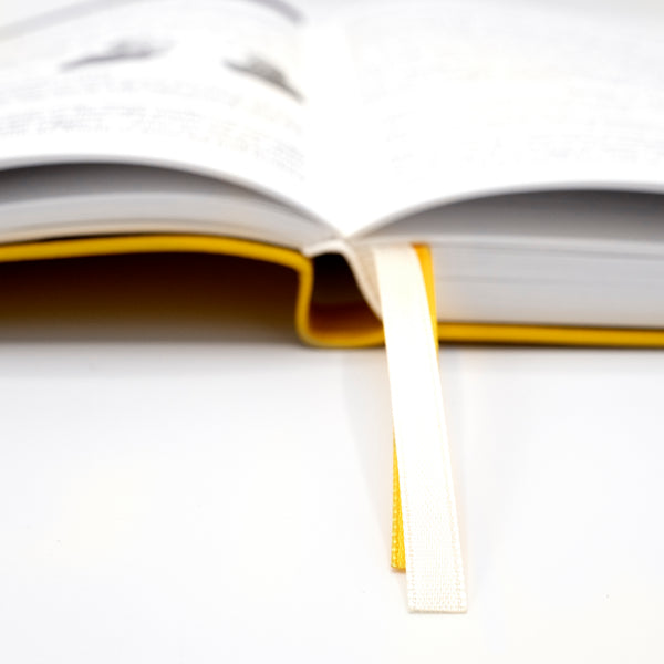 2027 Mental Fitness & Wellbeing Diary – Weekly Format