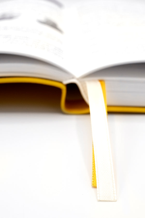 2027 Mental Fitness & Wellbeing Diary – Weekly Format