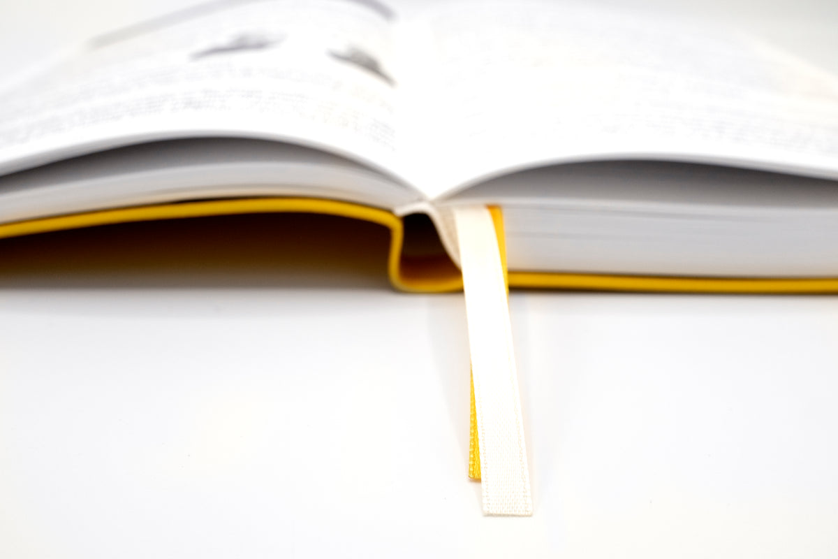 2027 Mental Fitness & Wellbeing Diary – Weekly Format