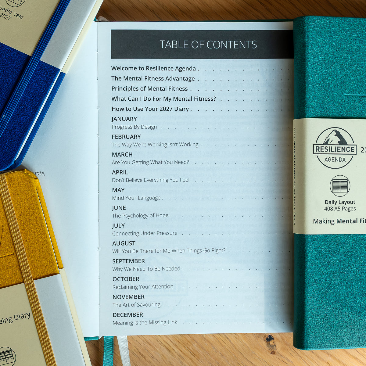 2027 Mental Fitness & Wellbeing Diary - Daily Format